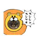 ムタオのスタンプ（個別スタンプ：1）