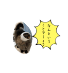 ムタオのスタンプ（個別スタンプ：5）