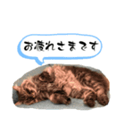 ムタオのスタンプ（個別スタンプ：6）