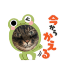 ムタオのスタンプ（個別スタンプ：8）