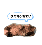 ムタオのスタンプ（個別スタンプ：11）