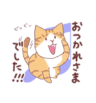 茶白にゃんこの敬語（個別スタンプ：5）