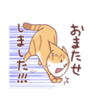 茶白にゃんこの敬語（個別スタンプ：24）