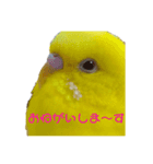 喜久蔵と申します。 2（個別スタンプ：2）