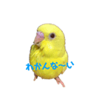 喜久蔵と申します。 2（個別スタンプ：4）