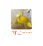 喜久蔵と申します。 2（個別スタンプ：7）