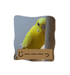 喜久蔵と申します。 2（個別スタンプ：8）