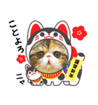 Blooming cats*（個別スタンプ：40）