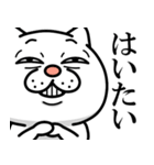 【沖縄弁】ウザ～～い猫★沖縄（個別スタンプ：13）