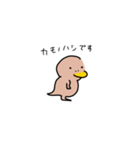 カモ野ハシ彦（個別スタンプ：1）