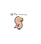 カモ野ハシ彦（個別スタンプ：3）