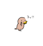 カモ野ハシ彦（個別スタンプ：7）