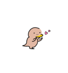 カモ野ハシ彦（個別スタンプ：8）