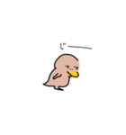 カモ野ハシ彦（個別スタンプ：9）