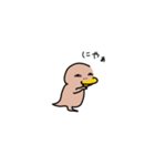 カモ野ハシ彦（個別スタンプ：21）