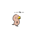 カモ野ハシ彦（個別スタンプ：22）