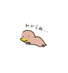 カモ野ハシ彦（個別スタンプ：31）