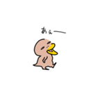 カモ野ハシ彦（個別スタンプ：36）