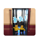 背中は語る（個別スタンプ：6）