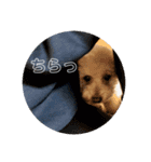 そーちゃんず・スタンプ②（個別スタンプ：4）