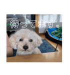 そーちゃんず・スタンプ②（個別スタンプ：8）