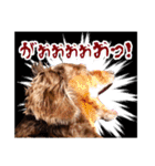 ダックスタンプ✩其の二（個別スタンプ：18）