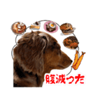 ダックスタンプ✩其の二（個別スタンプ：33）