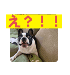 だだのぷりぷりライフ！（個別スタンプ：8）