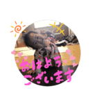 つむーぎ①（個別スタンプ：6）