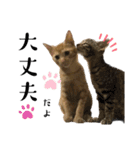 こてふみの日常2（個別スタンプ：18）