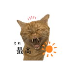 こてふみの日常2（個別スタンプ：21）