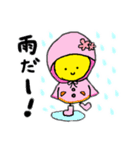 Piyokorochan3（個別スタンプ：1）