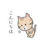 茶トラ時々子供の絵（個別スタンプ：2）