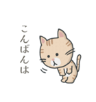 茶トラ時々子供の絵（個別スタンプ：3）