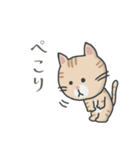 茶トラ時々子供の絵（個別スタンプ：4）