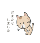 茶トラ時々子供の絵（個別スタンプ：6）