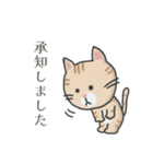 茶トラ時々子供の絵（個別スタンプ：8）