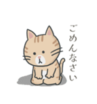 茶トラ時々子供の絵（個別スタンプ：32）