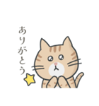 茶トラ時々子供の絵（個別スタンプ：35）