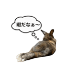 うさぎのサンとノア(日本語)（個別スタンプ：8）