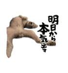 リンとユウのスタンプ（個別スタンプ：2）