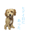 リンとユウのスタンプ（個別スタンプ：5）