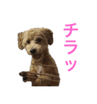リンとユウのスタンプ（個別スタンプ：7）