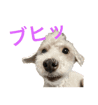 リンとユウのスタンプ（個別スタンプ：11）