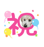 リンとユウのスタンプ（個別スタンプ：16）