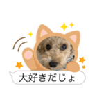 ポポレオン（個別スタンプ：6）