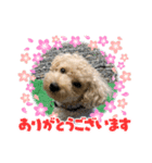 ポポレオン（個別スタンプ：8）