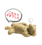 ねんど犬☆癒し系手作りclayブサかわワンコ（個別スタンプ：35）