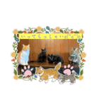 にゃんこの日常8（個別スタンプ：4）