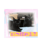 にゃんこの日常8（個別スタンプ：5）